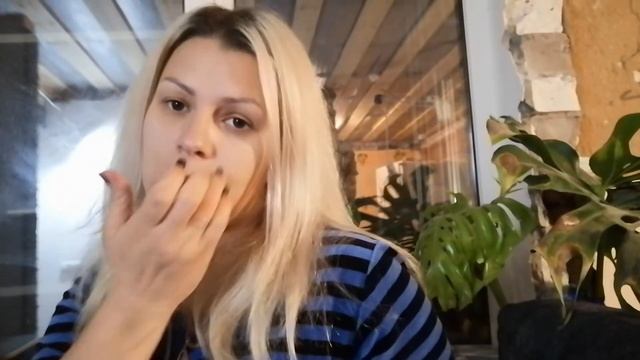 Шотландская скоттиш страйт Мрамор на серебре. Проблемы в породе? смотреть онлайн