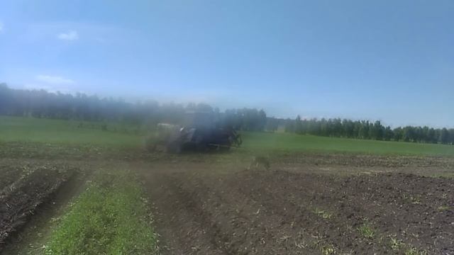 САМОДЕЛЬНЫЙ ОПРЫСКИВАТЕЛЬ. БОРЬБА С СОРНЯКАМИ НА КАРТОФЕЛЬ. 2021