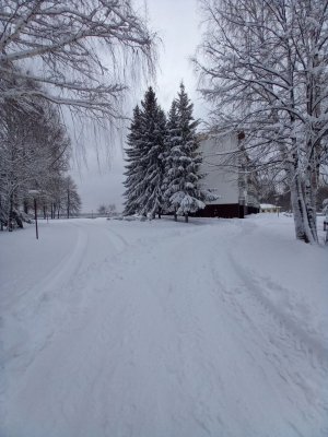 Литания о зиме