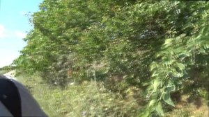 Как мы ездили на ЮГ на старой машине. Дороги, цены, ДПС, море, Крым.