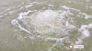 Водоём для купания и осетров. Все этапы создания пруда на участке, от А до Я