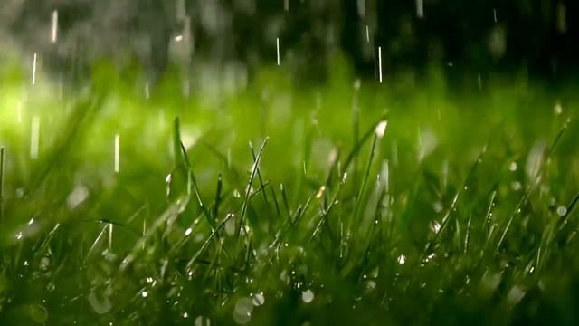 Sleep Music with Rain Sound, Beautiful Piano Music, Relaxing Music смотреть онлайн
