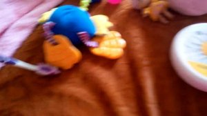 Что взять на отдых  для лори колори?