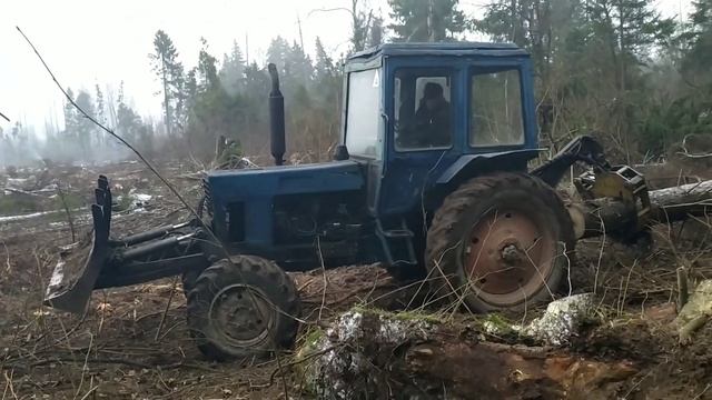 Валка леса, трелёвка леса. Трелюем лес,,,, поломался трактор ?,,, telling the forest,,, Walz week..