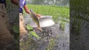 Рыбалка на бутылку