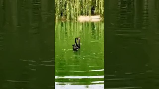 Мой адрес Русь! смотреть онлайн