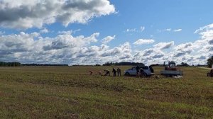 Т-25 и польская двухрядная прицепная копалка. Копаем бульбу.