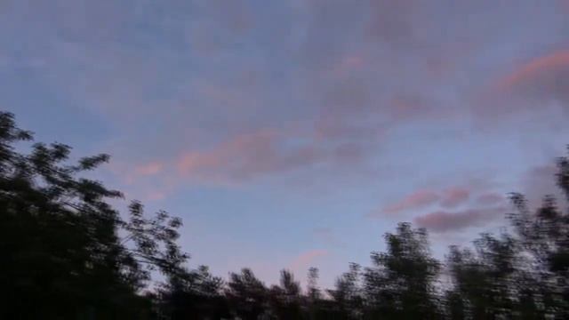 На тяге вальдшнепа. 13.06.2022, Ленинградская обл. ВИДЕО ОХОТА смотреть онлайн