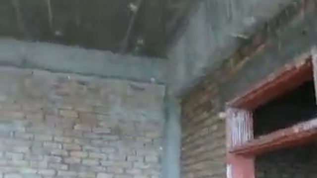 DK 42 смотреть онлайн