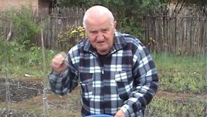 Бублик Б.А. Вечная грядка лука ? Огород без хлопот