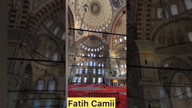 ~ Fatih Camisi ~