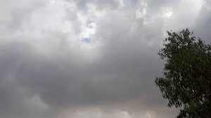 Озеро Виктория. Lake Victoria.