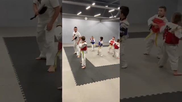 тхэквондо ВТ младшая группа#спортдети #тхэквондо смотреть онлайн