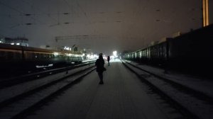 Ночные грузовые и пассажирские поезда. Гомель. Добруш. Электропоезд Stadler. Длинный грузовой поезд