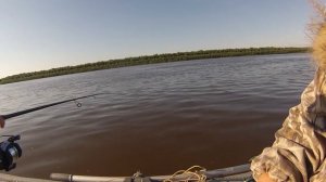 Каргасок 2021: Рыбалка, туризм, заимка "Старица"