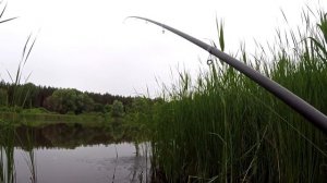 КЛЮЕТ только ЛИНЬ, Ловля линя на удочку,  Рыбалка на линя, Линь