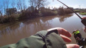 Ultralight Lure Fishing - End Of Season Chub on 1.5lb Ester Line