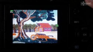 Olympus OM-D E-M1X - часть 7 - Отвечаю на вопросы