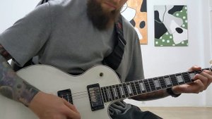 Cool Z ZLC-1 + ARB Pickups. Guitar Overview
