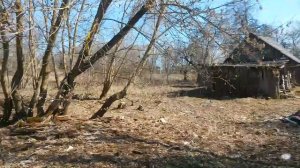 д. Думиничи, Калужская область, ул. Центральная д.4