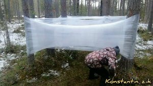 ?️Шалаш из стрейч пленки в лесу?️(вторая часть от konstantina zika)