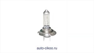 Автолампы CIKOO