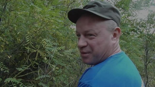 тизер к поздравлению с Новым годом 2020 смотреть онлайн