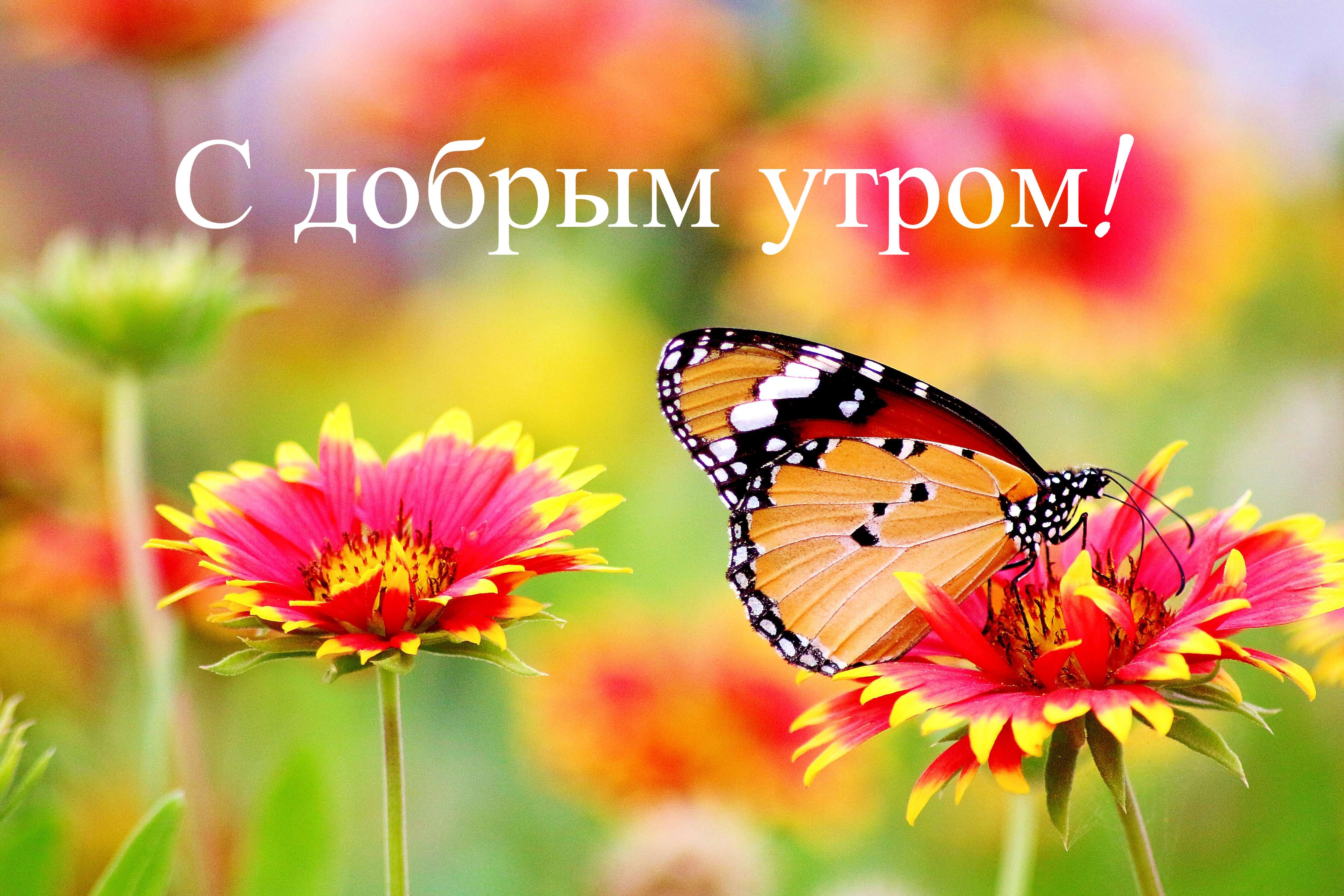 С добрым утром, любимые! Музыкотерапия, Музыка для пробуждения.