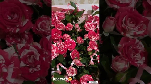 Букет из кустовых роз?