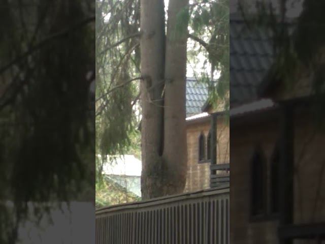 25 апреля 2023 г. смотреть онлайн