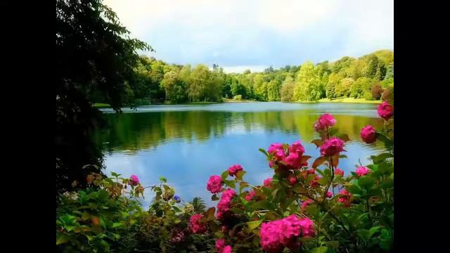 Александр Приходько Старая мельница смотреть онлайн