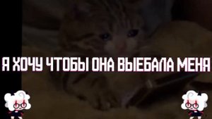 как же я хочу служить пандемонике