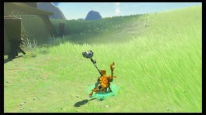 Легенда о Зельде: Слёзы королевства. Вышка Ополиная. Западная Неклюда.