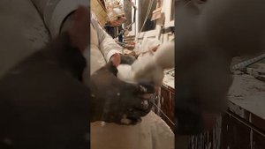 ротационный станок для пустотелого литья обзор станок для копилок