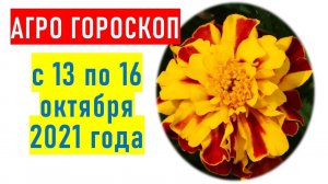 Агрогороскоп с 13 по 16 октября 2021 года ПЛЮС