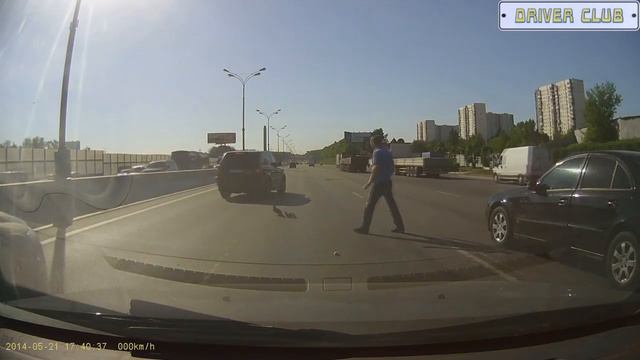 Утка с утятами на МКАДе!!! смотреть онлайн