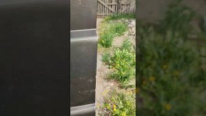 как подключить вентилятор через кнопку на патриот