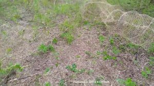 конструкция фитиля