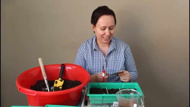 Пряные травы. Посев на рассаду. Розмарин, Базилик, Душица, Мята. смотреть онлайн