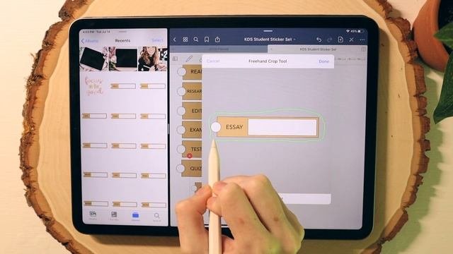 Precropped Digital Sticker Sheets In GoodNotes