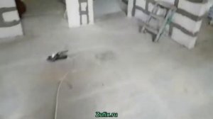 Как правильно и быстро штукатурить стены