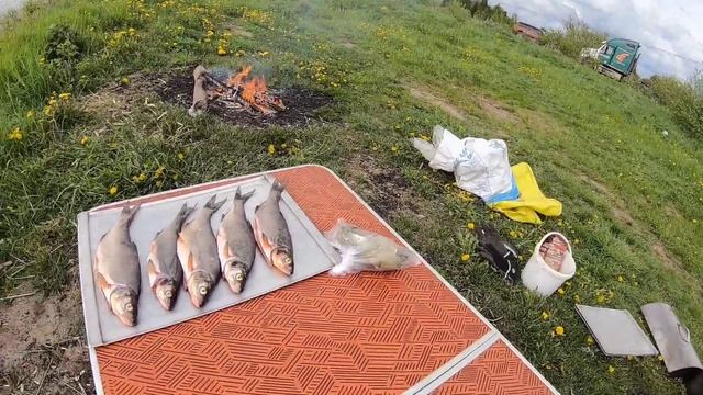 Сырть. Рыбалка и копчение на реке Луга. смотреть онлайн