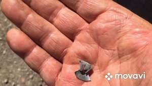 Шевроле каптива 2.2 дизель стук в моторе