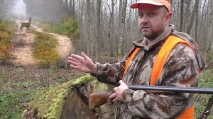 Загонная ОХОТА. 25 ноября 2018г.