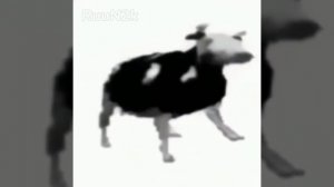 Прикольная танцующая карова
