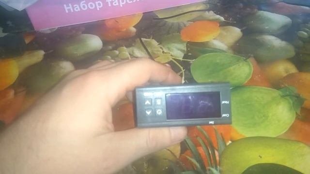 ТЕРМОРЕГУЛЯТОРЫ ДЛЯ ИНКУБАТОРОВ НА ALIEXPRESS
