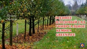 ОБЯЗАТЕЛЬНО УДОБРЯЕМ ЯБЛОНЮ И ГРУШУ ОСЕНЬЮ.ПРОСТО И ПРАВИЛЬНО ПОСЛЕ СБОРА УРОЖАЯ И ПЕРЕД ЗАМОРОЗКАМ
