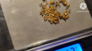 переделка эжектора, результаты добычи золота и небольшое лирическое отступление.