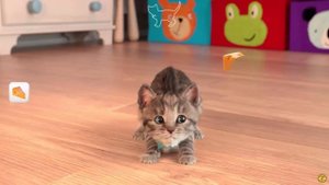 Little Kitten My Favorite Cat - Play Fun Cute Kitten Pet Care Mini Games For Children