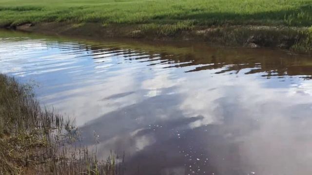 Щука смотреть онлайн